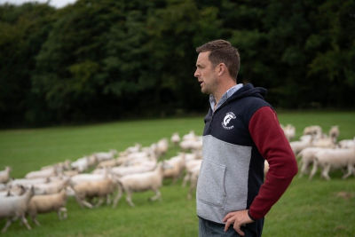 Asda Lamb Group